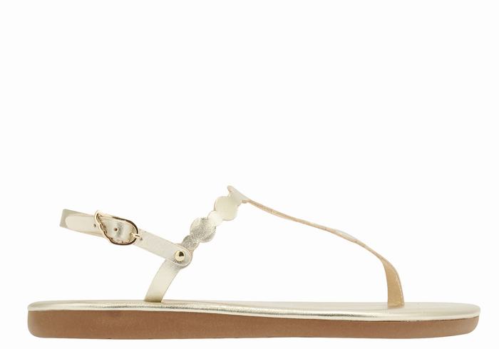 Sandales Bride Arrière Ancient Greek Sandals Velos Flip Flop   | JAZ-8406889